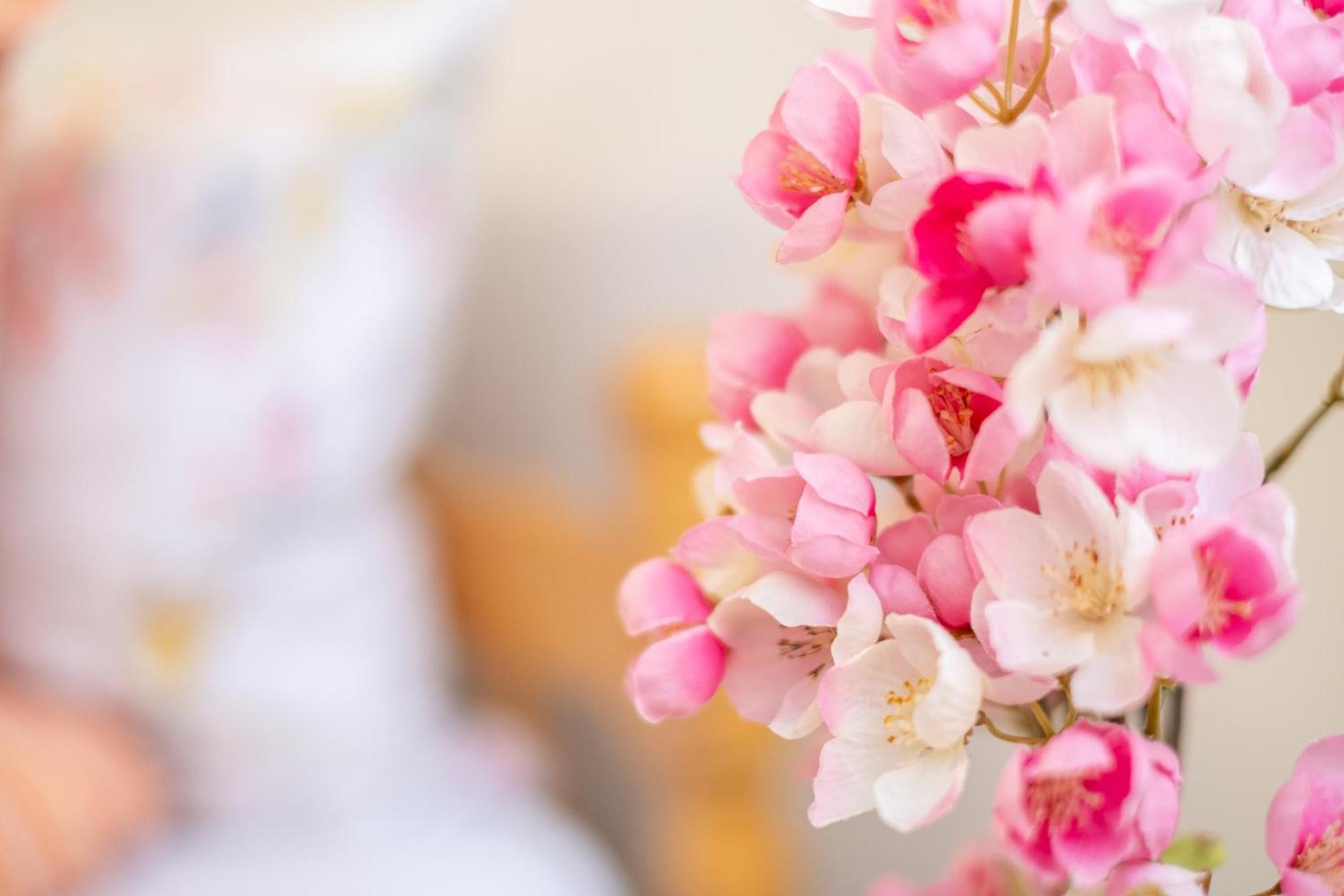 Guesthouse Rose Sarajevo Ngoại thất bức ảnh