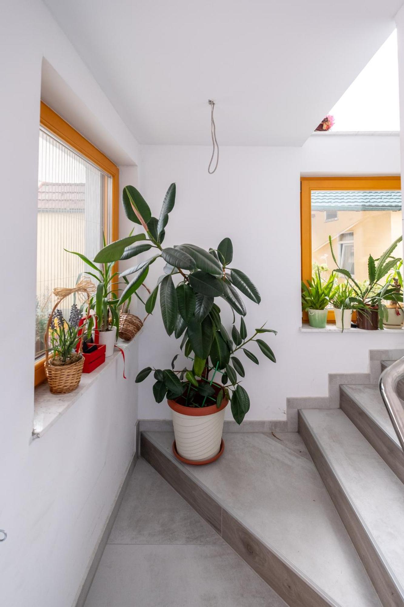 Guesthouse Rose Sarajevo Ngoại thất bức ảnh